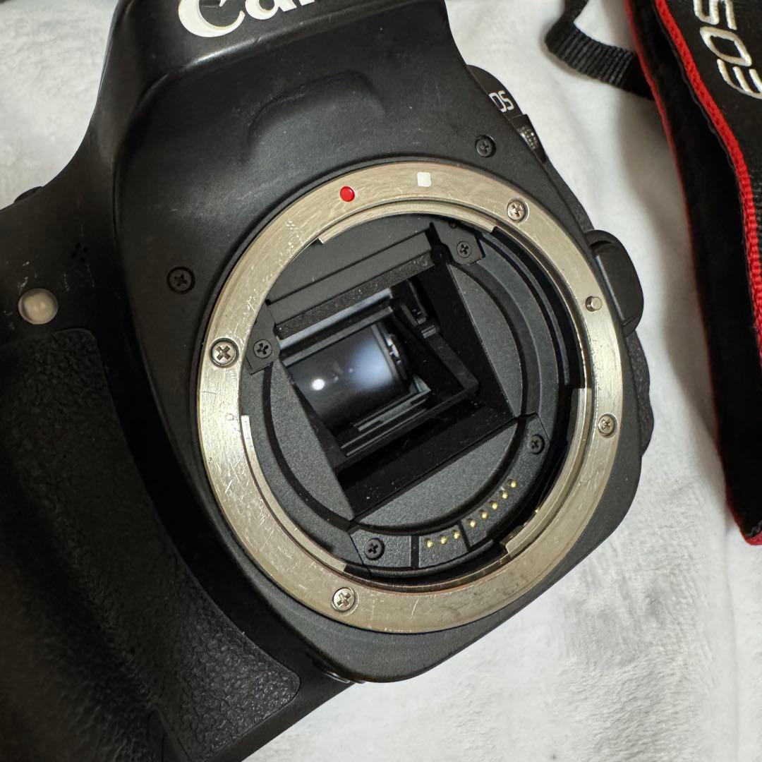 キヤノン EOS 80D ダブルズームキット＋単焦点レンズ＋レインカバー付き